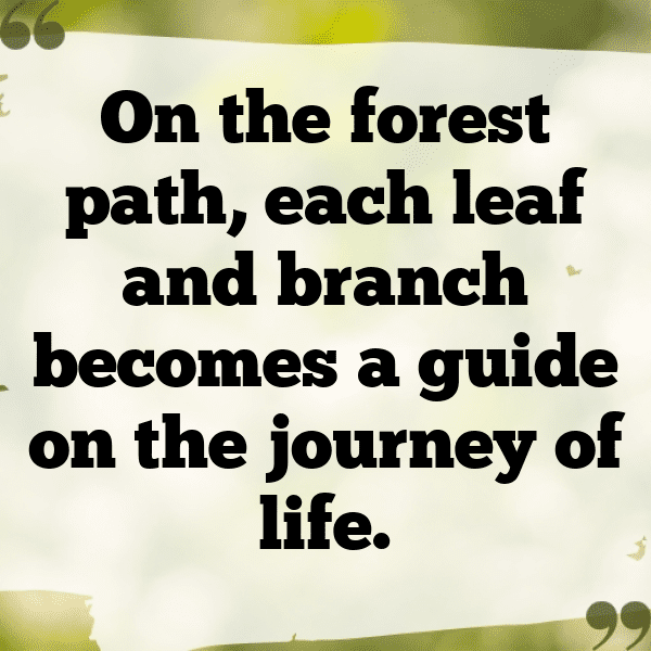 Forest Path Captions Image for Instagram-ffo3Mi