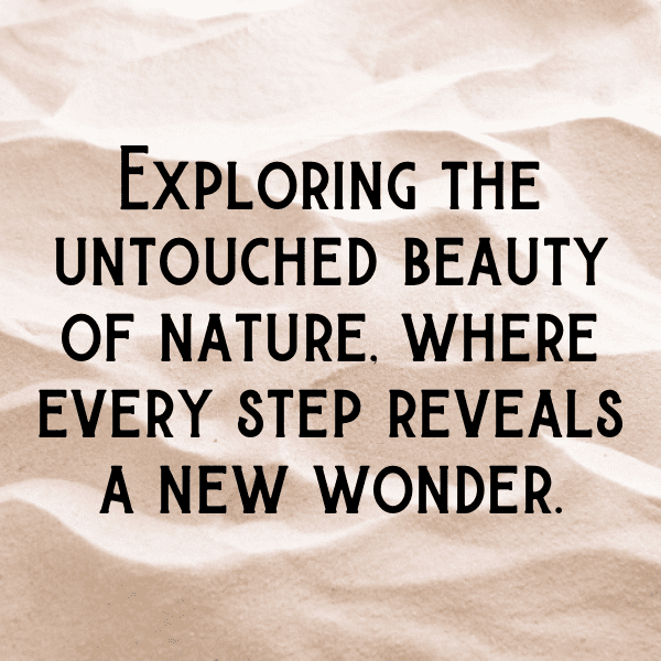 Forest Path Captions Image for Instagram-OGIRu9