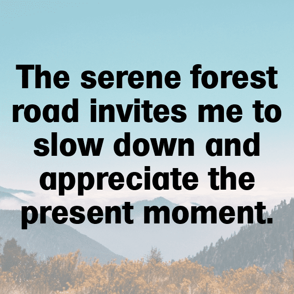 Forest Path Captions Image for Instagram-SmnHqO