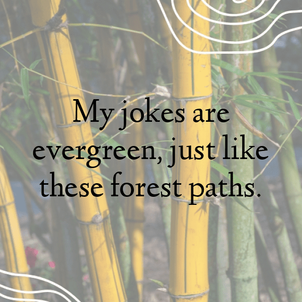 Forest Path Captions Photo for Instagram-AJbNe9