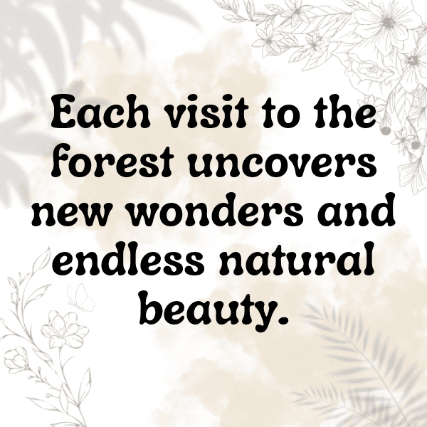 Forest Path Captions Photo for Instagram-bujAO9