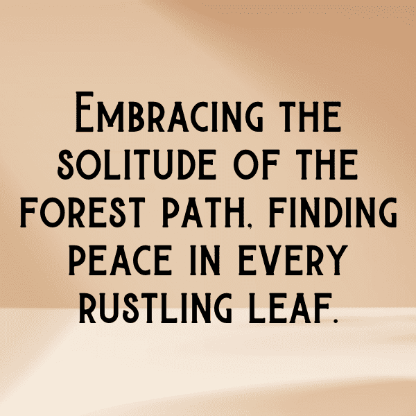 Forest Path Captions Photo for Instagram-HKjddJ