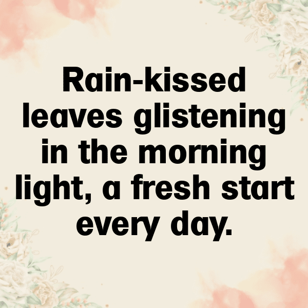 Forest Path Captions Photo for Instagram-Jm4bNU