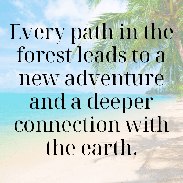 Forest Path Captions Photo for Instagram-jxyGyT