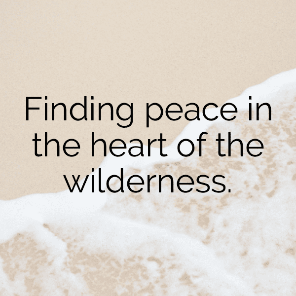 Forest Path Captions Photo for Instagram-lii2KF