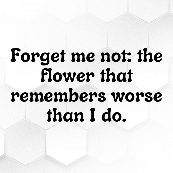 Forget-Me-Not Captions Image For Instagram-hJyEge