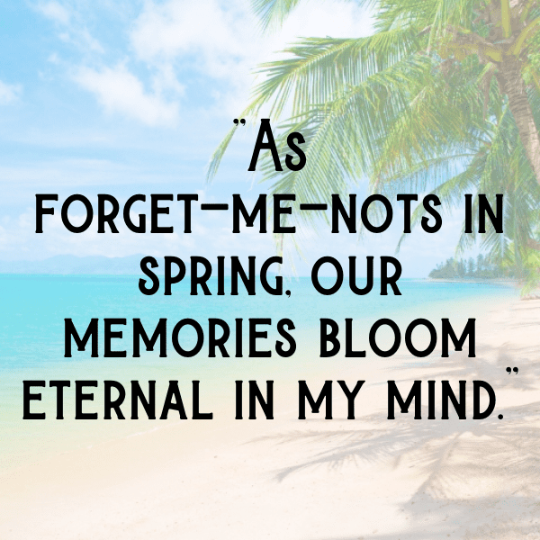 Forget-Me-Not Captions Image For Instagram-uHLv00