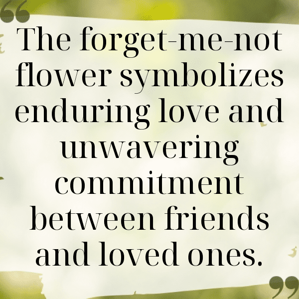 Forget-Me-Not Captions Photo For Instagram-Wb4OXg