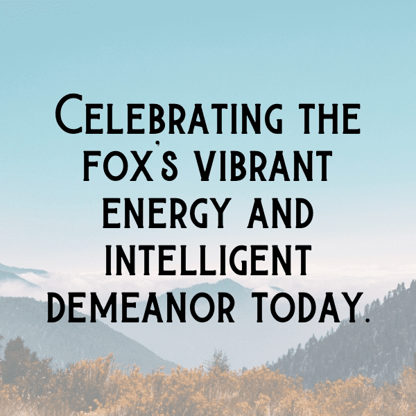 Fox Captions Photo For Instagram-6LF11H