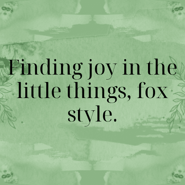 Fox Captions Photo For Instagram-GTYlFD