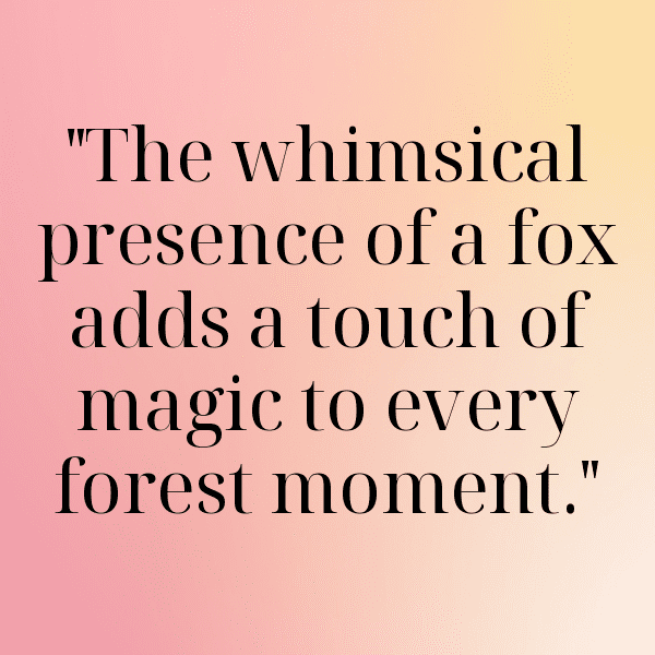 Fox Captions Photo For Instagram-O6QT1Q