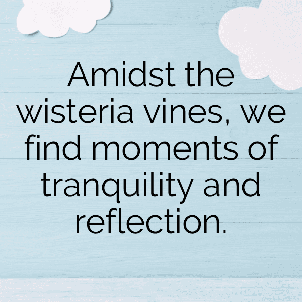 Foxglove Captions Photo For Instagram-FnDp72