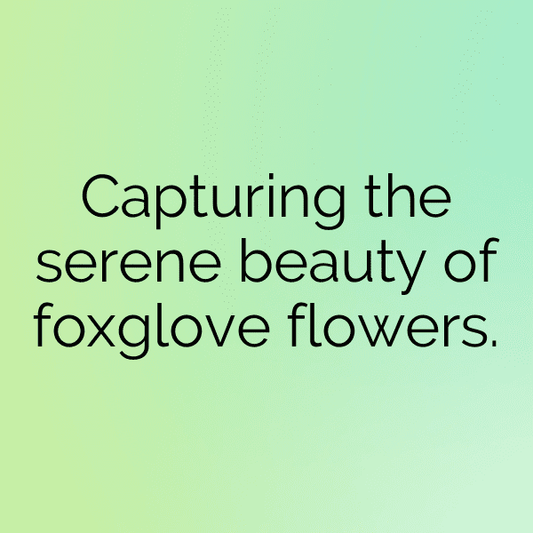 Foxglove Captions Photo For Instagram-GvKnfs