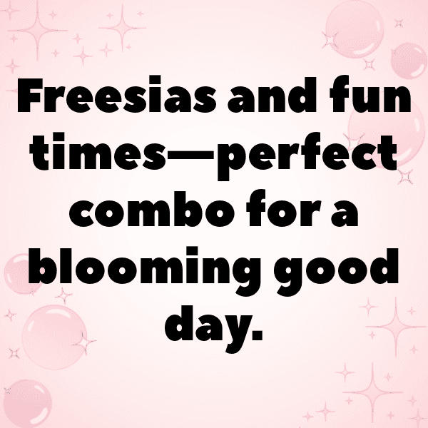 Freesia Captions Photo For Instagram-EdaBqA