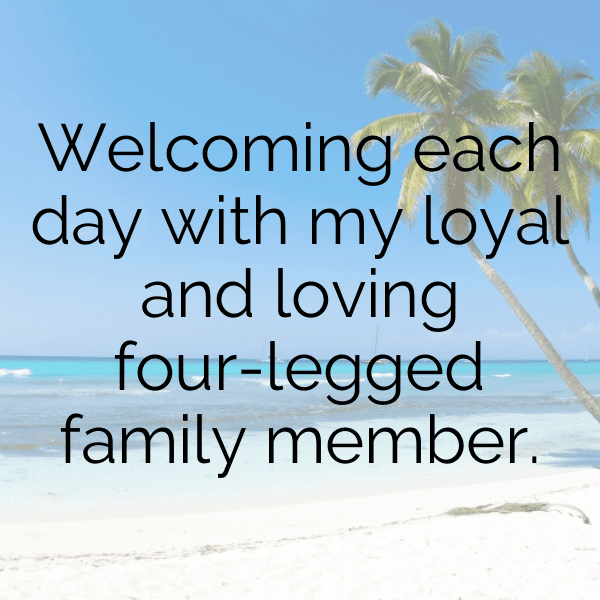 Frisee Captions Image For Instagram-UZ6NGo