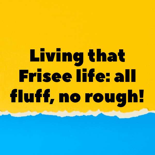 Frisee Captions Photo For Instagram-l7JJ32