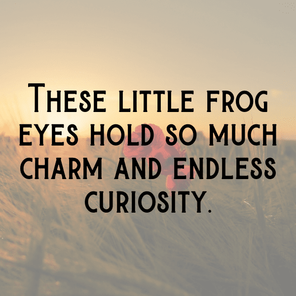 Frog Captions Image For Instagram-k3bc3o