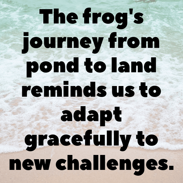 Frog Captions Image For Instagram-yMAMa2