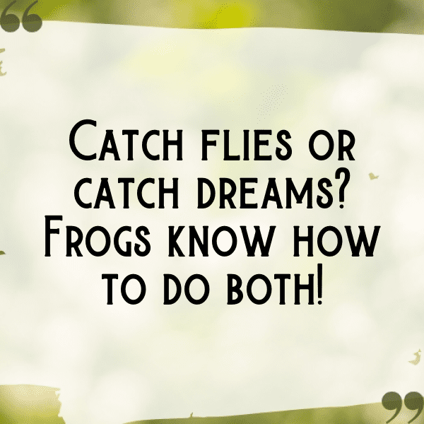 Frog Captions Photo For Instagram-1uaSuR