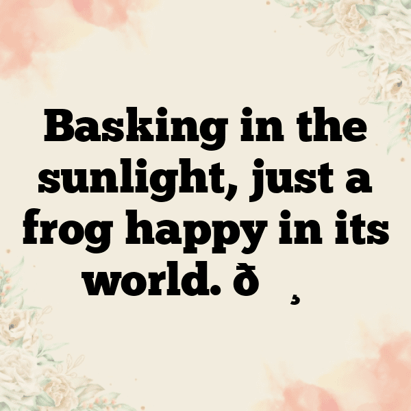 Frog Captions Photo For Instagram-m8lcTy