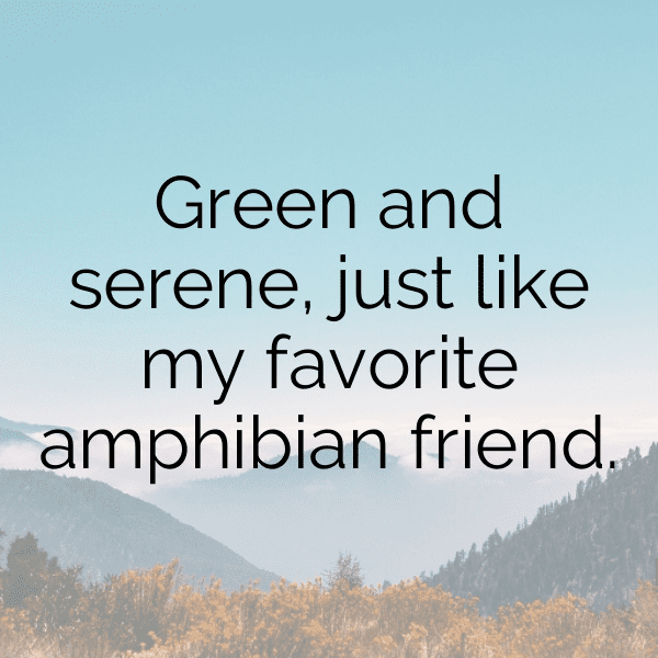 Frog Captions Photo For Instagram-vRXK2F