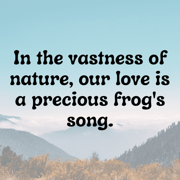 Frog Captions Photo For Instagram-ws9Vcr