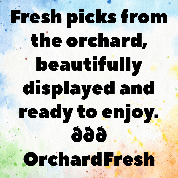 Gac Fruit Captions Photo For Instagram-1pQXL2