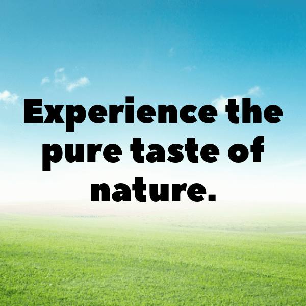 Gac Fruit Captions Photo For Instagram-QL34HP