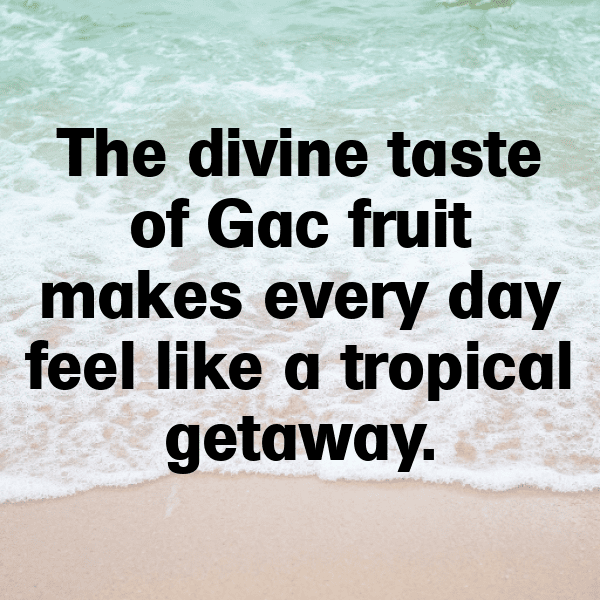 Gac Fruit Captions Photo For Instagram-xPe7RB