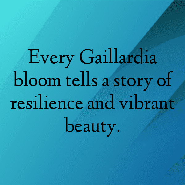 Gaillardia Captions Image For Instagram-5ef87C