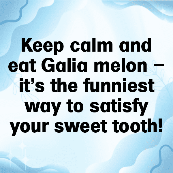 Galia Melon Captions Photo For Instagram-7MF5AB