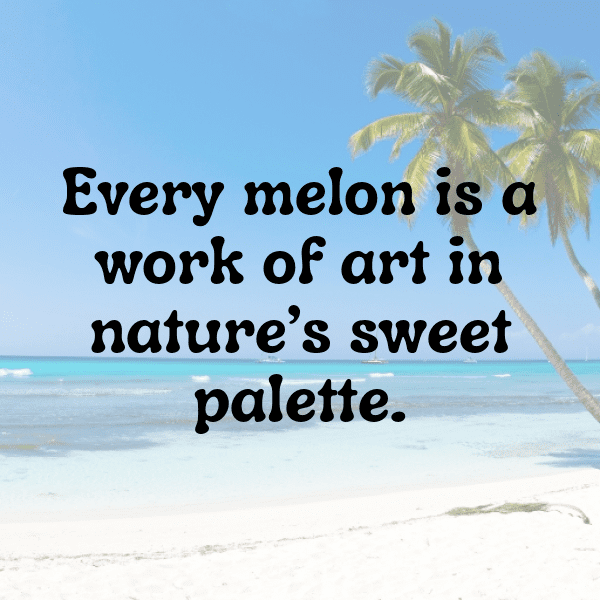 Galia Melon Captions Photo For Instagram-RY7gj3