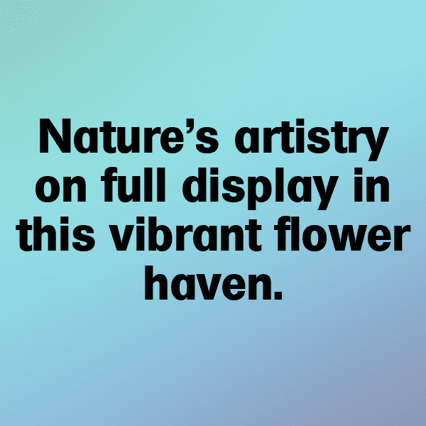 Garden Rocket Captions Image For Instagram-2s5JQC