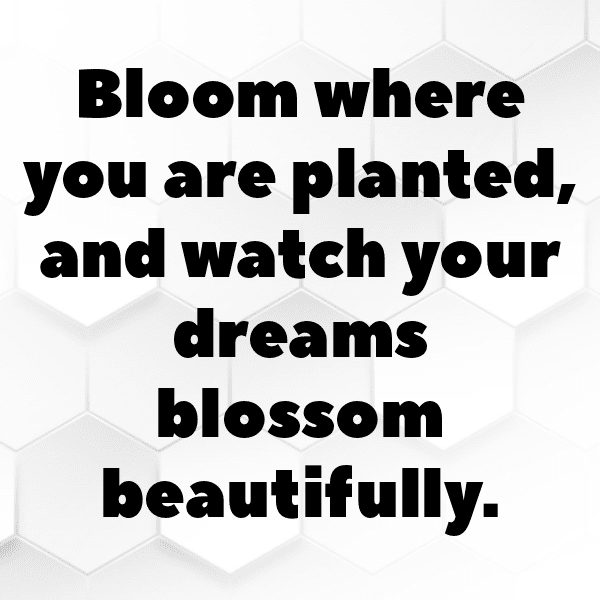 Garden Rocket Captions Photo For Instagram-aUObkP