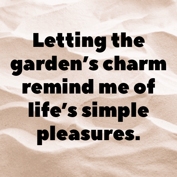 Garden Rocket Captions Photo For Instagram-XSzAiy