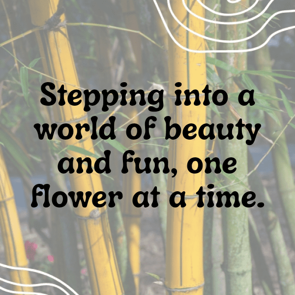 Garden Stroll Captions Image for Instagram-zOjAzo