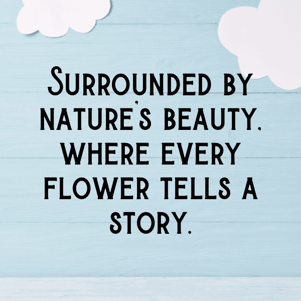 Garden Stroll Captions Photo for Instagram-TkHyEt