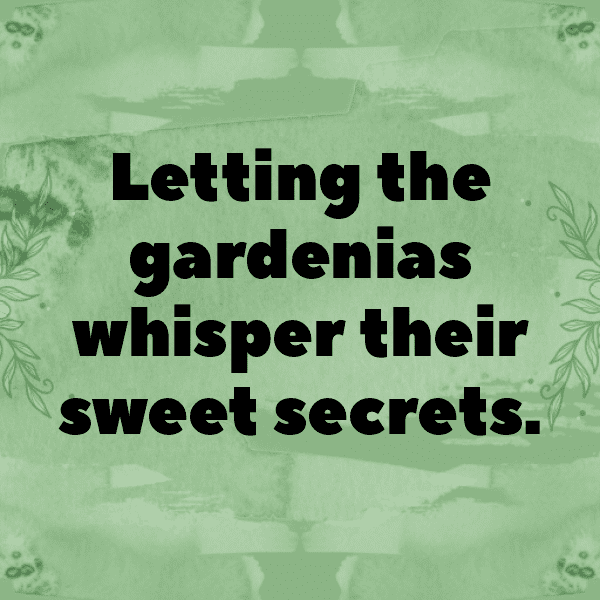 Gardenia Captions Image For Instagram-4sXHjy