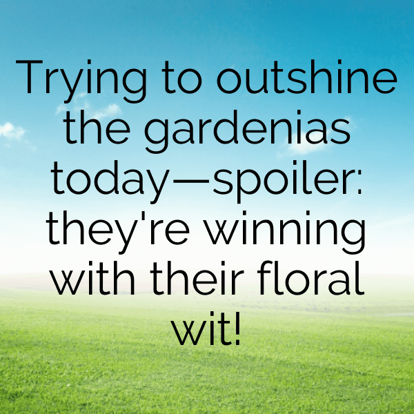 Gardenia Captions Image For Instagram-uEYJIm