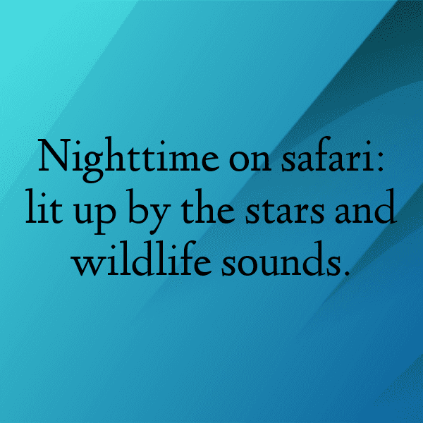 Gazelle Captions Photo For Instagram-1asIhV