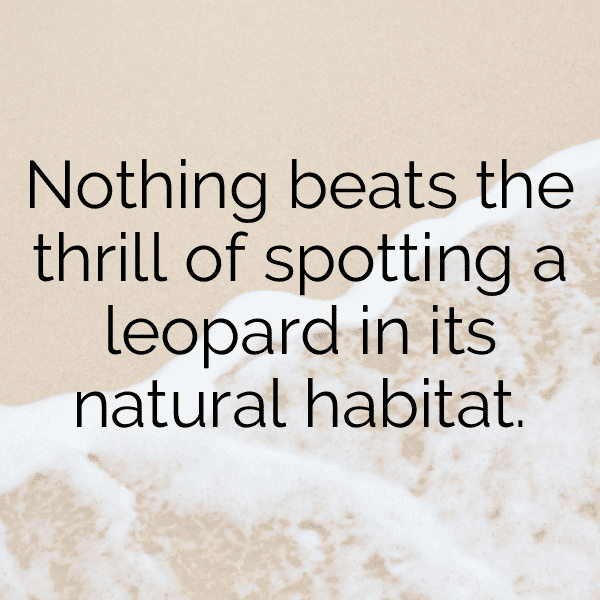 Gazelle Captions Photo For Instagram-r6shdT