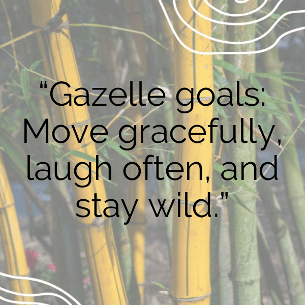 Gazelle Captions Photo For Instagram-sfZpzG