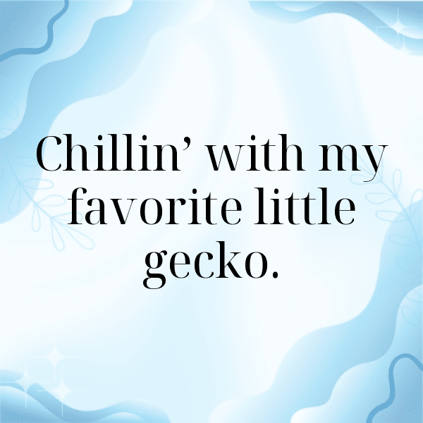 Gecko Captions Image For Instagram-mpJWBy