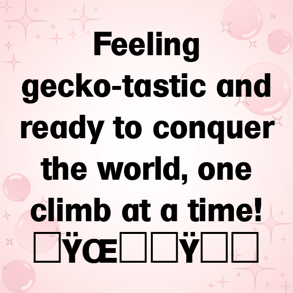 Gecko Captions Photo For Instagram-Z0LRHU