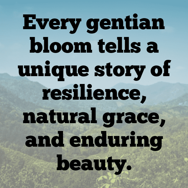 Gentian Captions Image For Instagram-Dt33pO