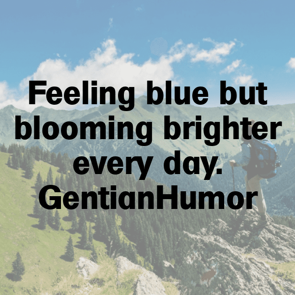 Gentian Captions Image For Instagram-vCTFMm