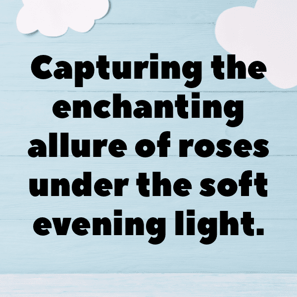 Geranium Captions Photo For Instagram-X861wQ