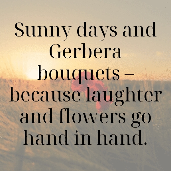 Gerbera Captions Image For Instagram-MFfkrZ