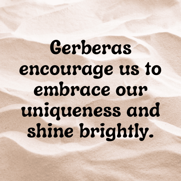 Gerbera Captions Image For Instagram-XBuQSm