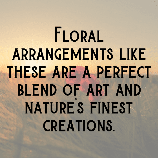 Gerbera Captions Image For Instagram-Z9ayur